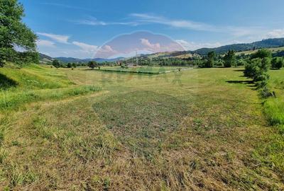 Teren Manastirea Humorului / Strada Principala 22,238 MP - 11