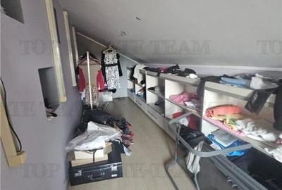 Vila individuala regie proprie 5 camere in Ciutaci (Domnesti) - 9
