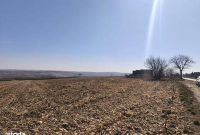 Teren de 6500 mp, în Grănicești - 2