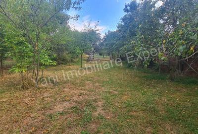 Casă cu 2 camere cu Teren 1462 Mp în Central - 4