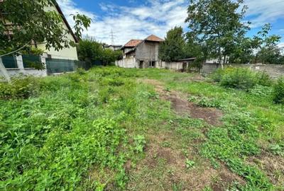 Teren de 998 mp, în Cetate - 2