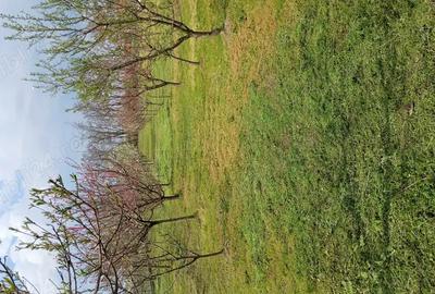 Vand casa la ?ara in Gepiu Bihor - 2