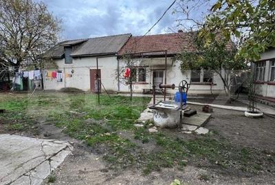 Boxe de Lucru pentru Mecanica Auto sau Vopsitorie Auto in Berindan - 4