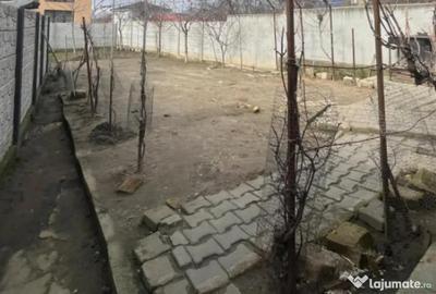 Casă cu 3 camere cu Teren 468 Mp în Bariera Vâlcii - 4