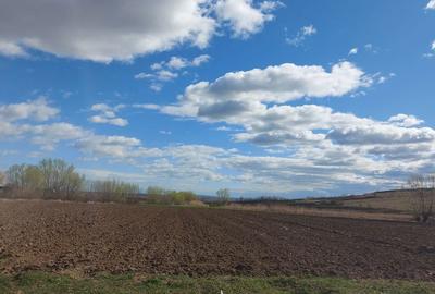 Teren de 2600 mp, în Reuseni - 4