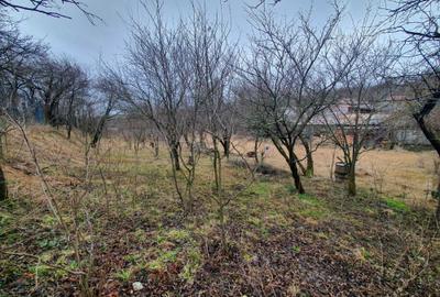 Casă în Ceanu Mic - 1