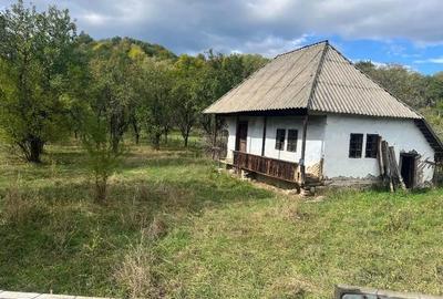 Teren în Nucșoara - 2