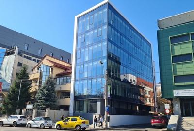 Birou, 1554 mp în Herăstrău