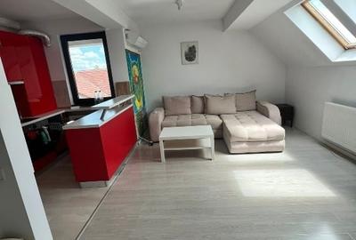 2 camere Jiului - 3