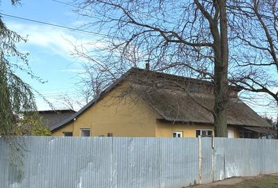 Spațiu industrial, de 200 mp, în Însurăței - 13