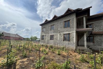Casa la ro?u Filia?i, 232 mp, teren generos 1842 mp, inve - 4