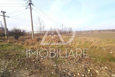 Teren de 12000 mp, în Rovinari - 3