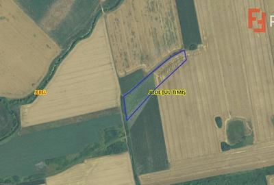 Teren agricol extravilan de vanzare, 2,69 hectare - Jebel Timis - 3