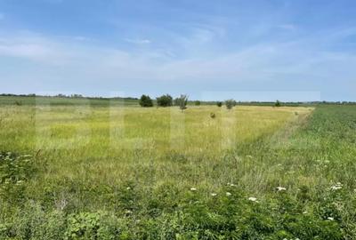 Teren de 4994 mp, în Central - 1