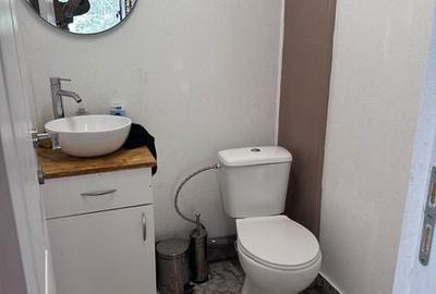 Casă cu 3 camere cu Teren 60 Mp în Băișoara - 2