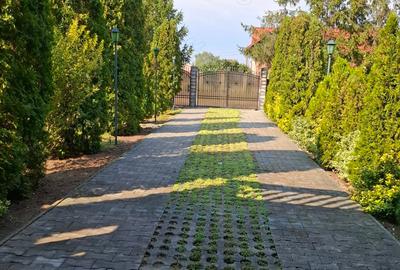 Casă cu 6 camere în Acâș - 8