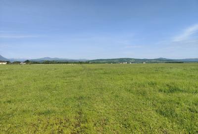 Teren Construcții intravilan de 1000 mp, în Glăjărie - 4