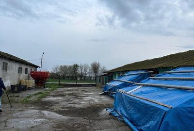 Spațiu comercial, în Stelnica - 5