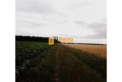 OTOPENI, DRUMUL ODAII, ION CREANGA, TEREN 14.926 MP INTRAVILAN OTOPENI, DRUMUL ODAII, ION CREANGA, TEREN 14.926 MP INTRAVILAN - 6