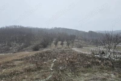Casă cu 2 camere cu Canalizare în Mitrofani - 3