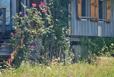 Vand teren pe malul lacului de la Pischia. Un front la lac altul la 30m de padure - 3