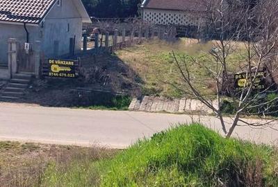 Spațiu comercial, în Paleu - 4