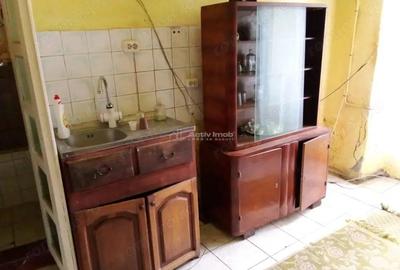 Anina, Apartament 3 Cam+Garaj+Curte, la Parter, PRET FIX - 10