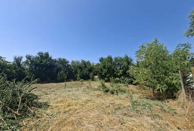 Casă cu 4 camere în Colceag - 8