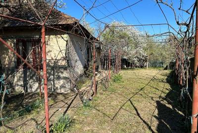 Teren intravilan si casa batraneasca - 2