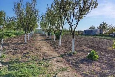 Casă cu 4 camere în Moara Mocanului - 1