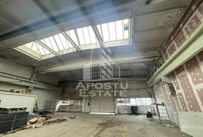 Hala depozitare, productie 1400 mp , platforma industriala, Buziasului - 3