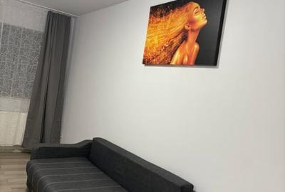 Garsoniera FINISATA/MOBILATA/UTILATA- zona linistita - Funeni - 2