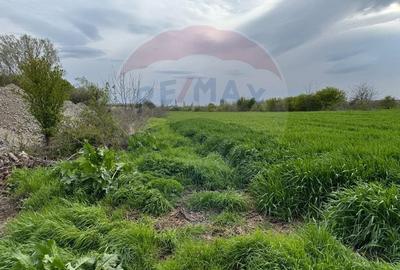 Teren cu PUZ aprobat -  Destinatie logistica, industriala si servicii - 11