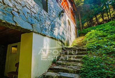 Pensiune | Casa de vacanta | 6 camere | 150mp utili | Statiunea Rausor - 8