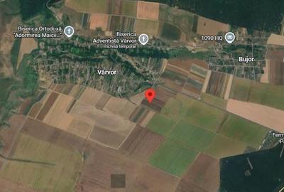 Teren de 3000 mp, în Vârvor - 5