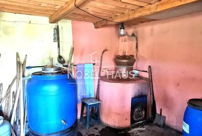 Casă cu 2 camere cu Teren 5500 Mp în Cârja - 2