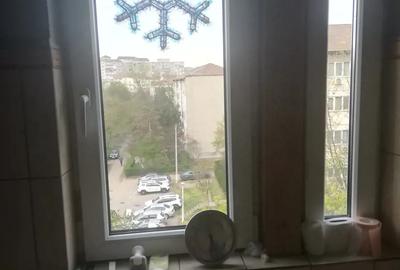 Garsonieră nedecomandată în Nufărul - 3