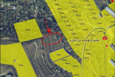 Teren de 750 mp, în Bejan - 8