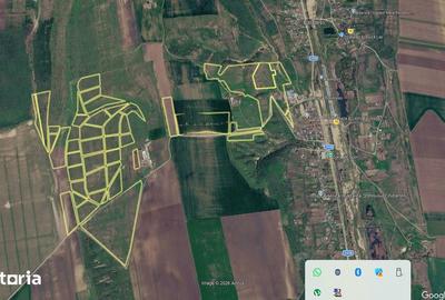 Teren de 700000 mp, în Berești-Meria - 6