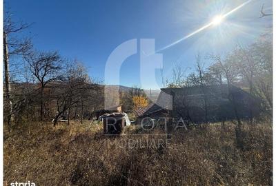 Spațiu comercial, în Valea Banului - 11