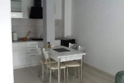 Apartament cu 2 camere nedecomandat în Poiana Țapului - 2