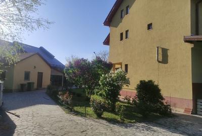 Casă individuală cu 5 camere cu Teren 3330 Mp în Central - 7