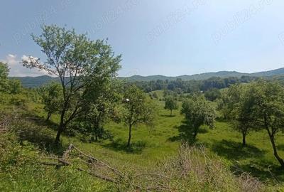 Oferta luna aceasta! Teren 10000 mp in Corbi Arges - 5