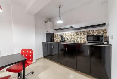 Inchiriere apartament 2 camere - Economu Cezarescu, Grozavesti - 13