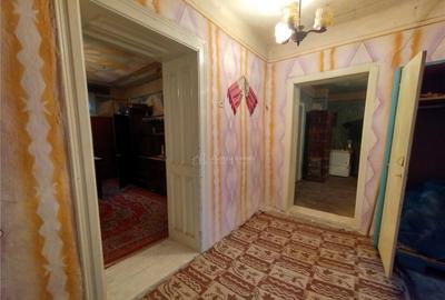 Bogodint, Casa 440mp cu 4 Hectare Teren, Pret Negociabil - 13