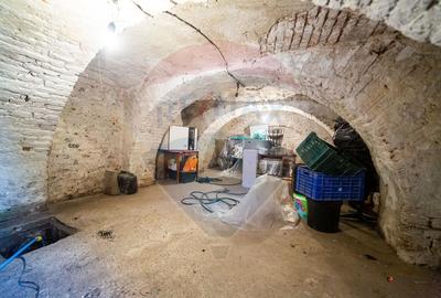 Vand/ schimb casa , 2 apartamente , curte si gradina. Teren 500 mp. - 18