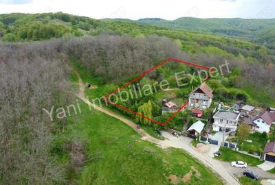 Teren de vanzare in Curtea de Arge?, strada Paune?ti. - 10