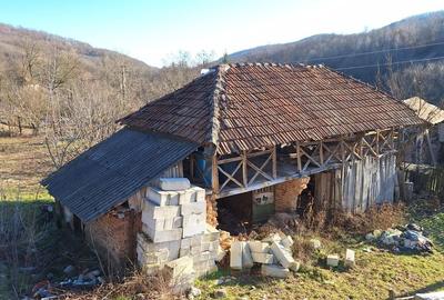Casa de vanzare Malureni-Bunesti-Arges - 10