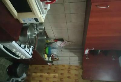 Apartament cu 2 camere decomandat în Rogerius - 1