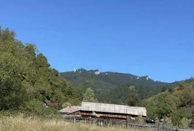 Spațiu comercial, în Tulgheș - 4